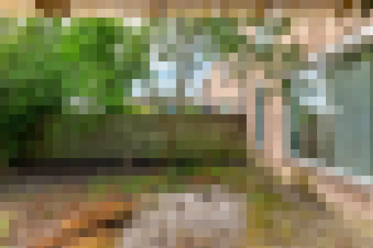 Spantenzetter 49 Sappemeer thumbnail 29