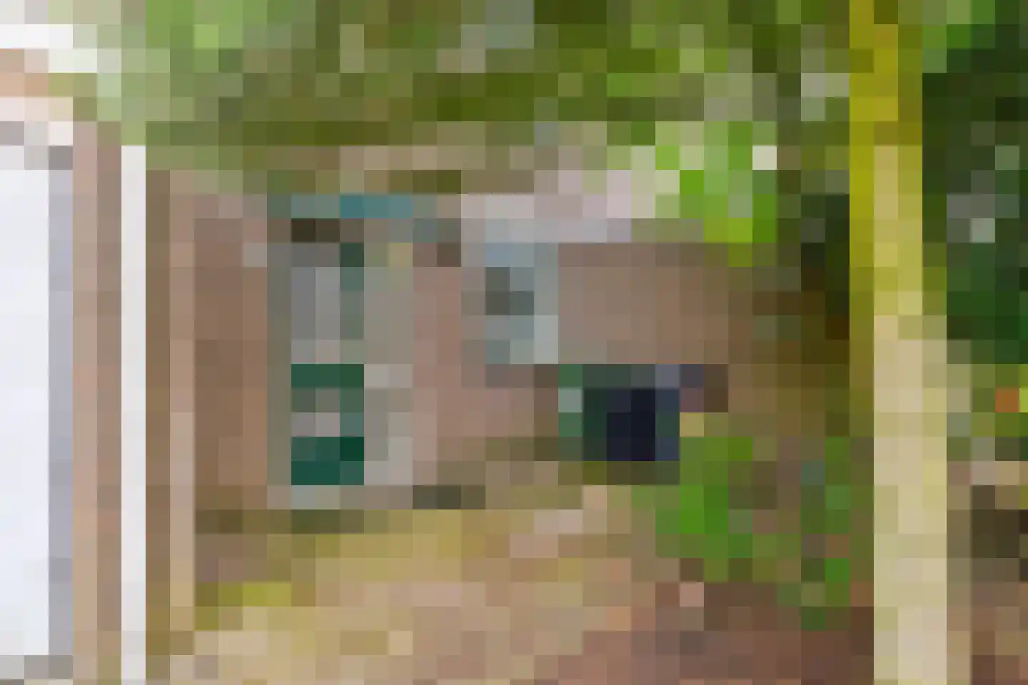 Spantenzetter 49 Sappemeer thumbnail 4