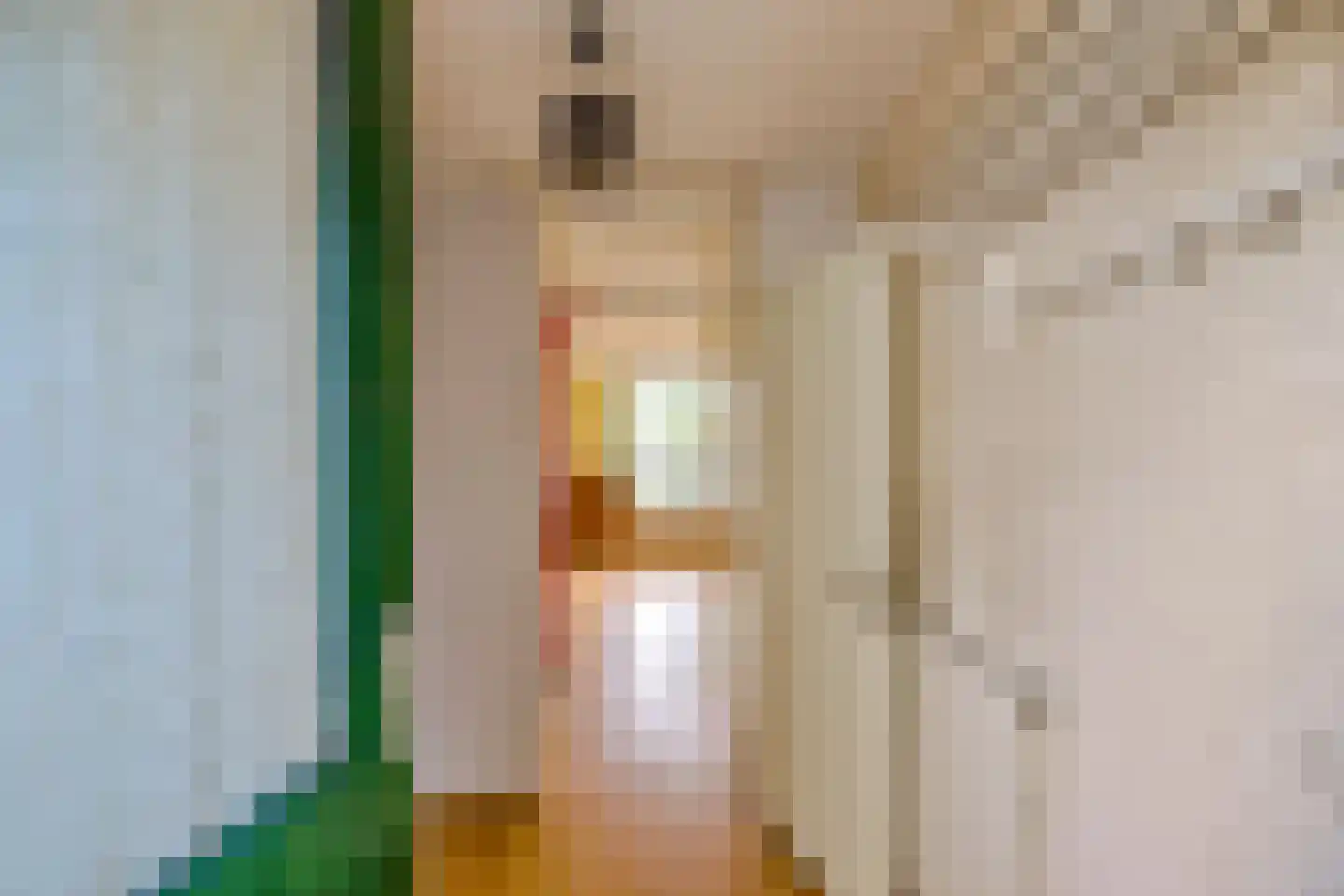 Spantenzetter 49 Sappemeer thumbnail 6