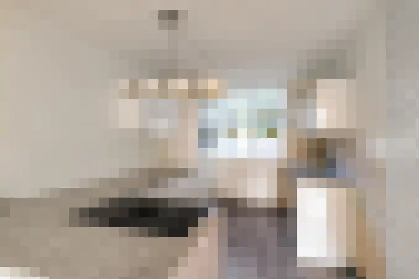 Spantenzetter 49 Sappemeer thumbnail 9