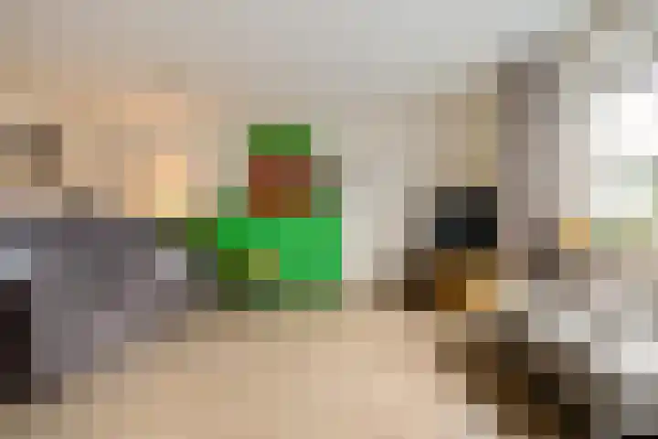 Spantenzetter 5 Sappemeer thumbnail 10