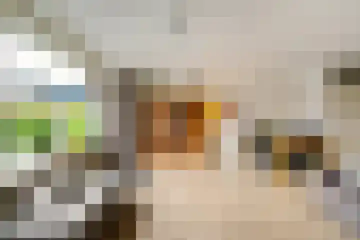Spantenzetter 5 Sappemeer thumbnail 11