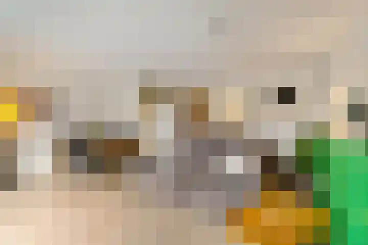 Spantenzetter 5 Sappemeer thumbnail 12