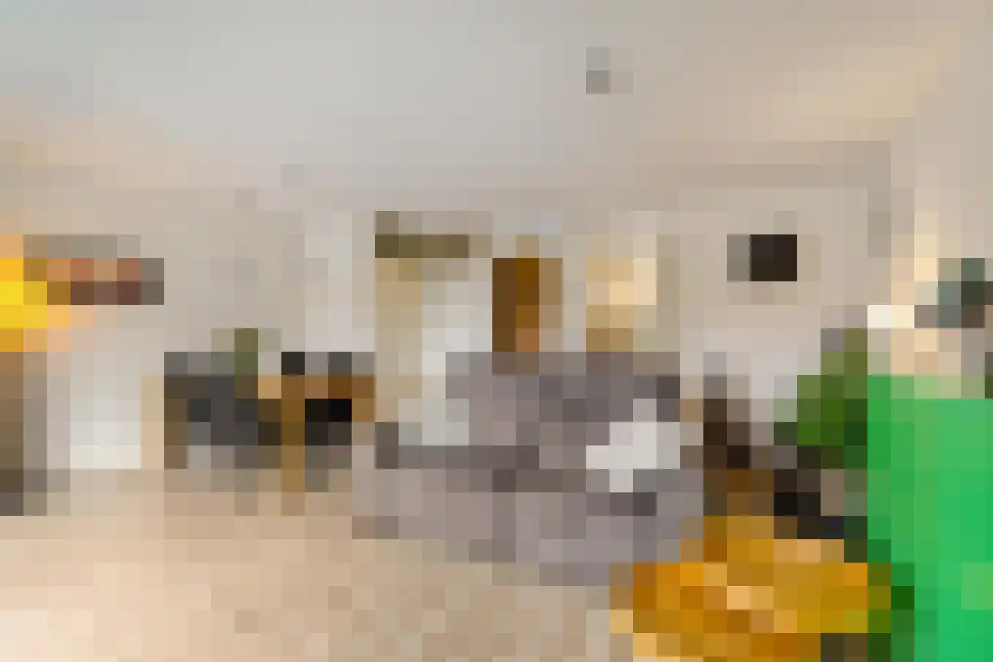Spantenzetter 5 Sappemeer thumbnail 12
