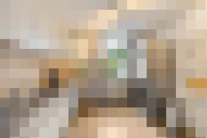 Spantenzetter 5 Sappemeer thumbnail 16
