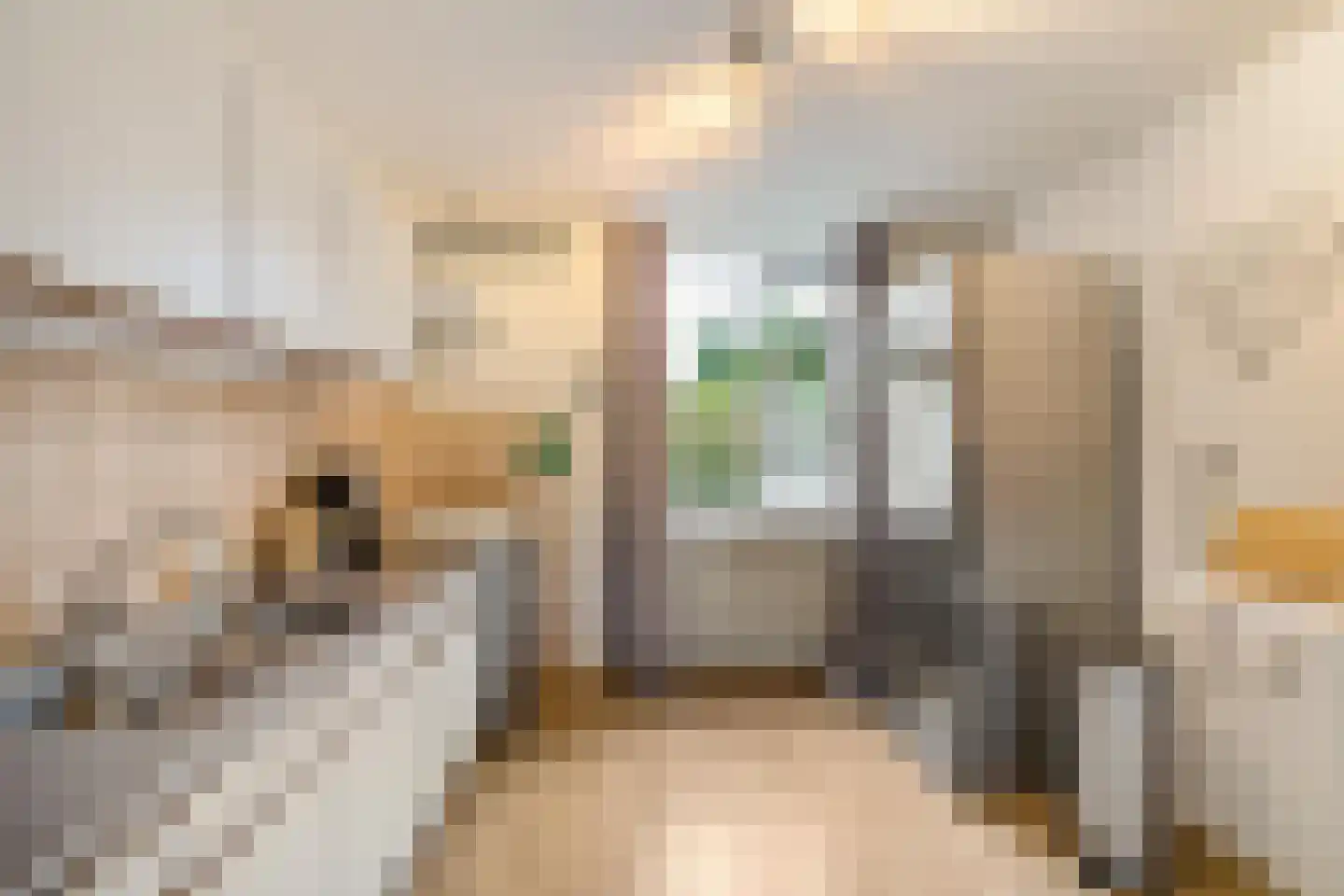 Spantenzetter 5 Sappemeer thumbnail 16