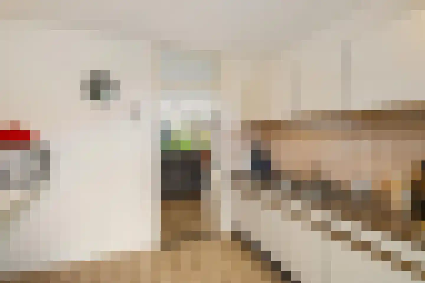 Spantenzetter 5 Sappemeer thumbnail 18