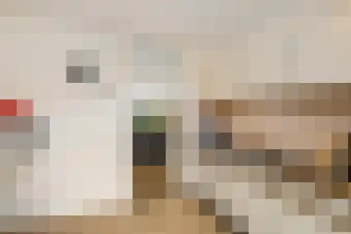 Spantenzetter 5 Sappemeer thumbnail 18