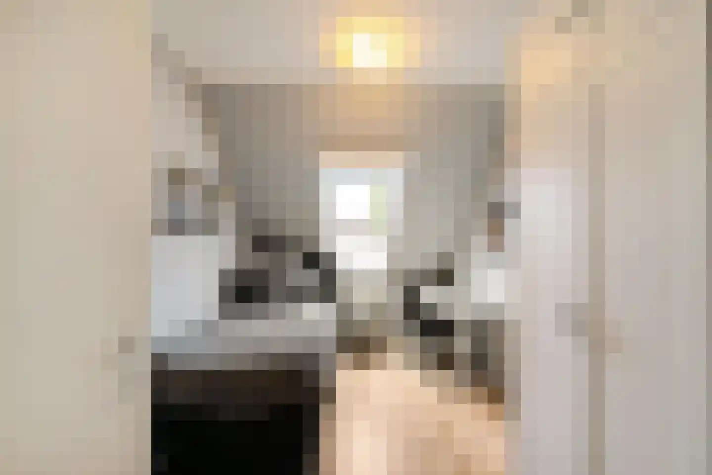 Spantenzetter 5 Sappemeer thumbnail 20