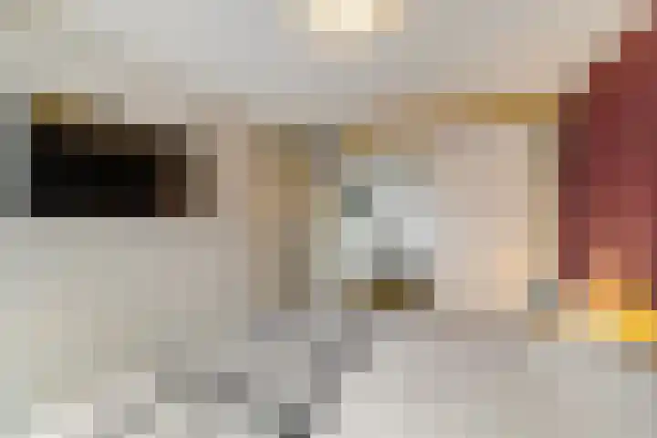 Spantenzetter 5 Sappemeer thumbnail 23