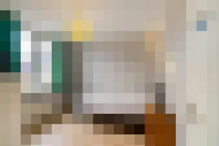 Spantenzetter 5 Sappemeer thumbnail 24