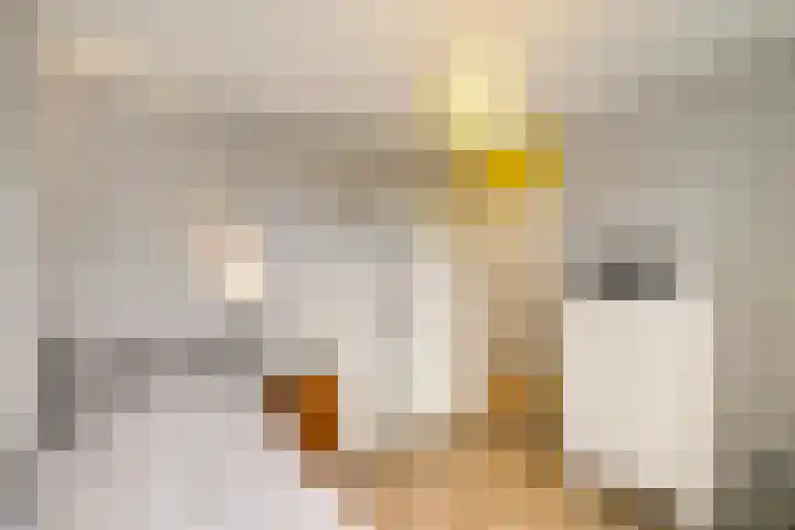 Spantenzetter 5 Sappemeer thumbnail 26