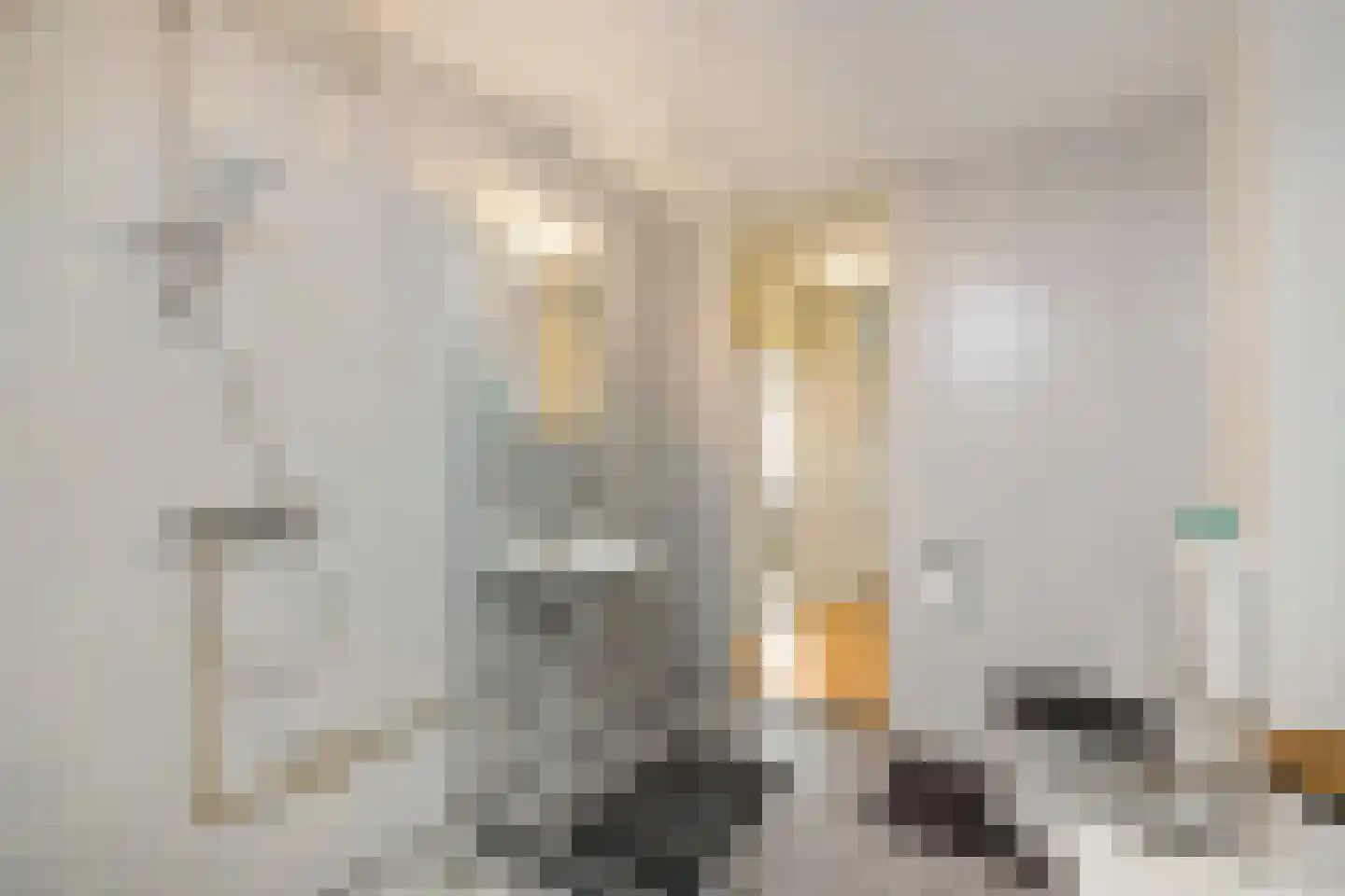 Spantenzetter 5 Sappemeer thumbnail 28