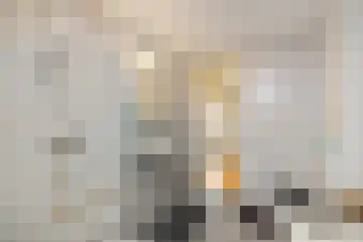Spantenzetter 5 Sappemeer thumbnail 28