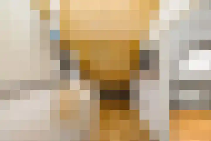 Spantenzetter 5 Sappemeer thumbnail 29