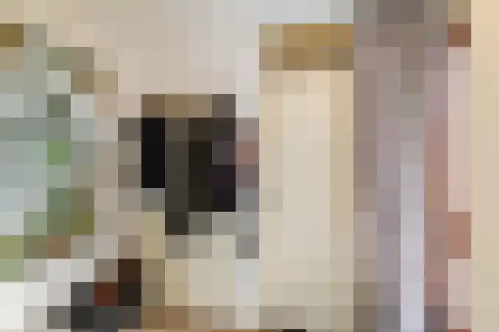 Spantenzetter 5 Sappemeer thumbnail 4