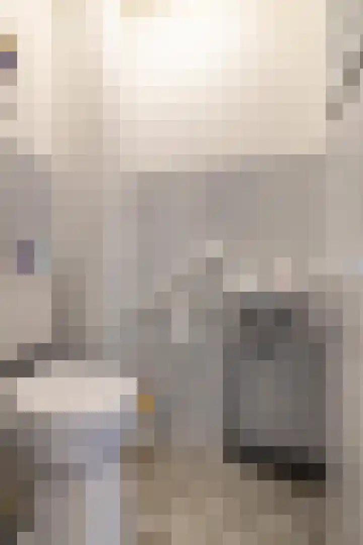 Spantenzetter 5 Sappemeer thumbnail 5