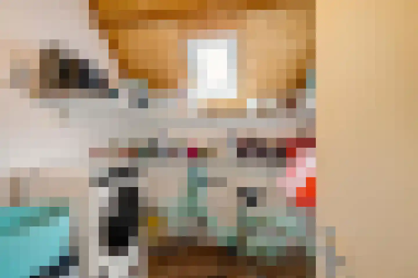 Spantenzetter 5 Sappemeer thumbnail 6