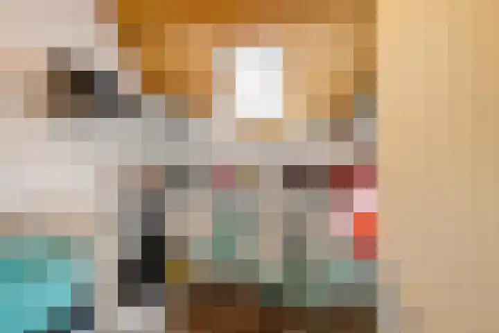 Spantenzetter 5 Sappemeer thumbnail 6