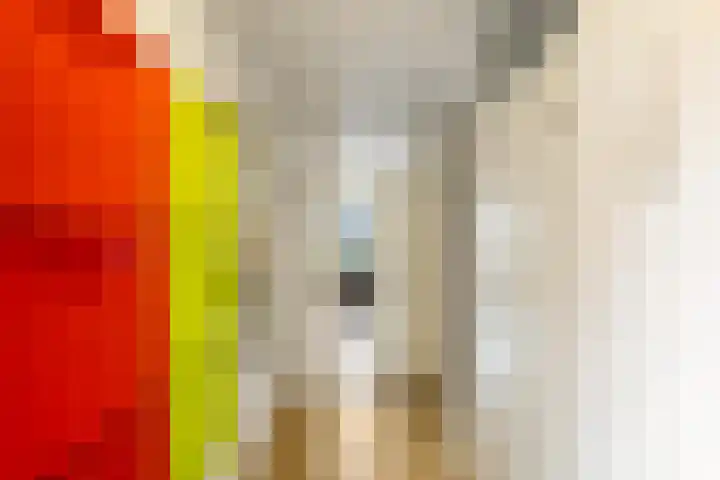 Spantenzetter 5 Sappemeer thumbnail 7