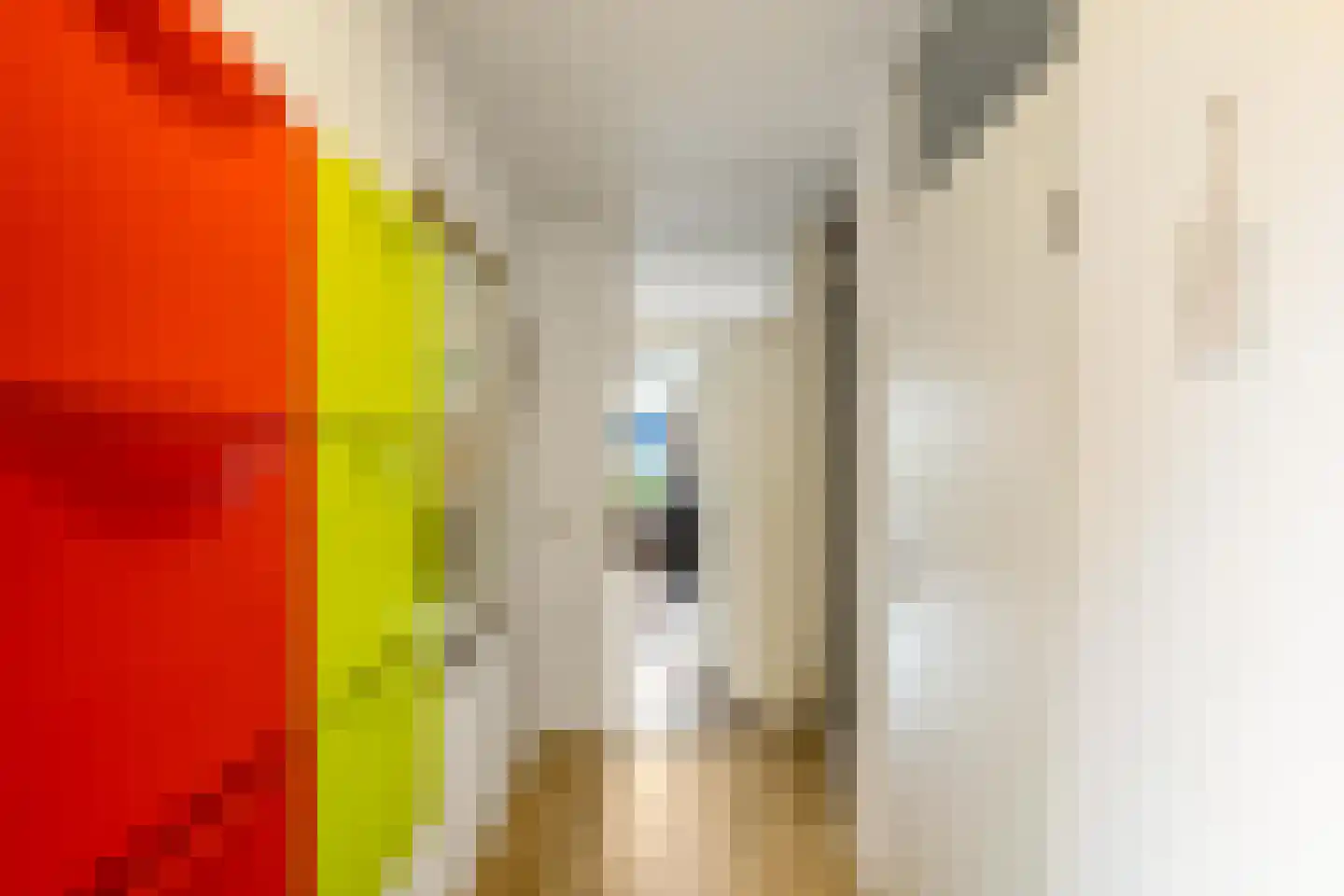 Spantenzetter 5 Sappemeer thumbnail 7