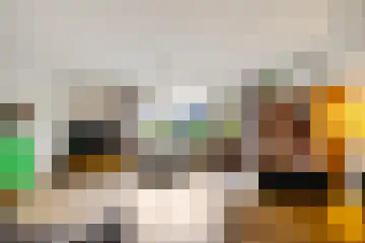 Spantenzetter 5 Sappemeer thumbnail 8