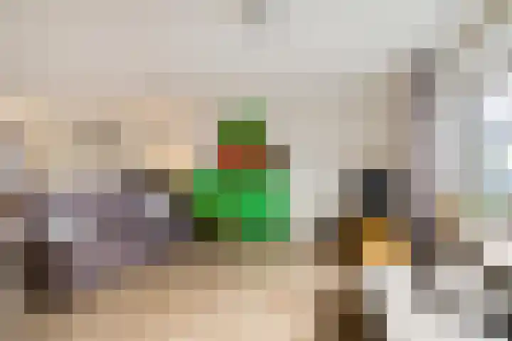 Spantenzetter 5 Sappemeer thumbnail 9