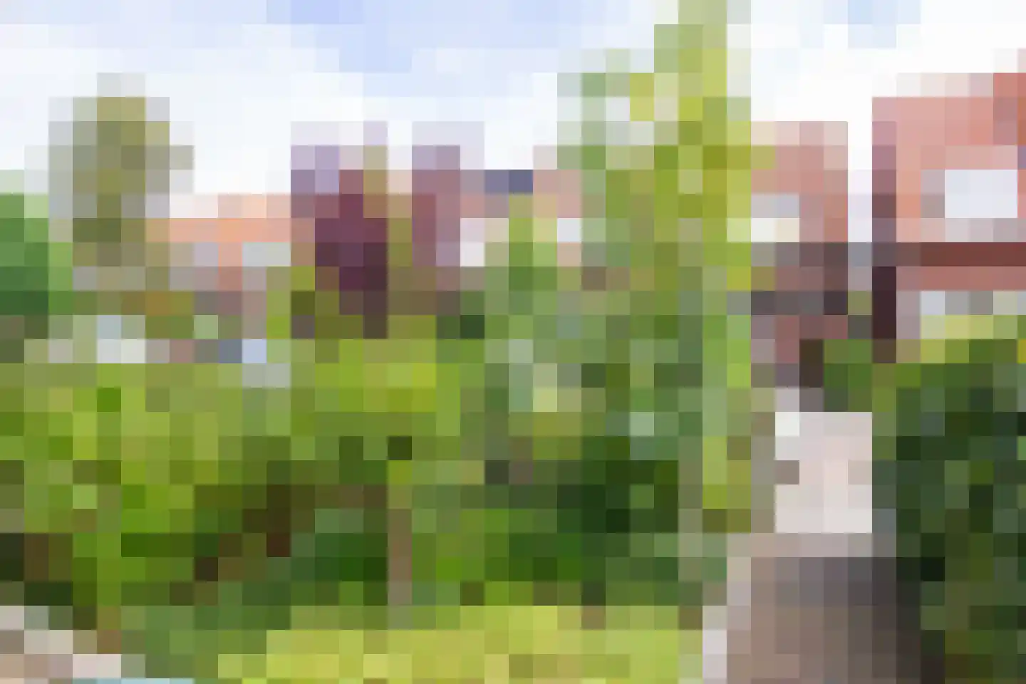 Sparenbergstraat 9 Haarlem thumbnail 45