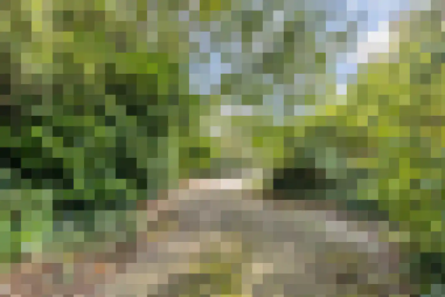 Sparjeburd 23 Hemrik thumbnail 10