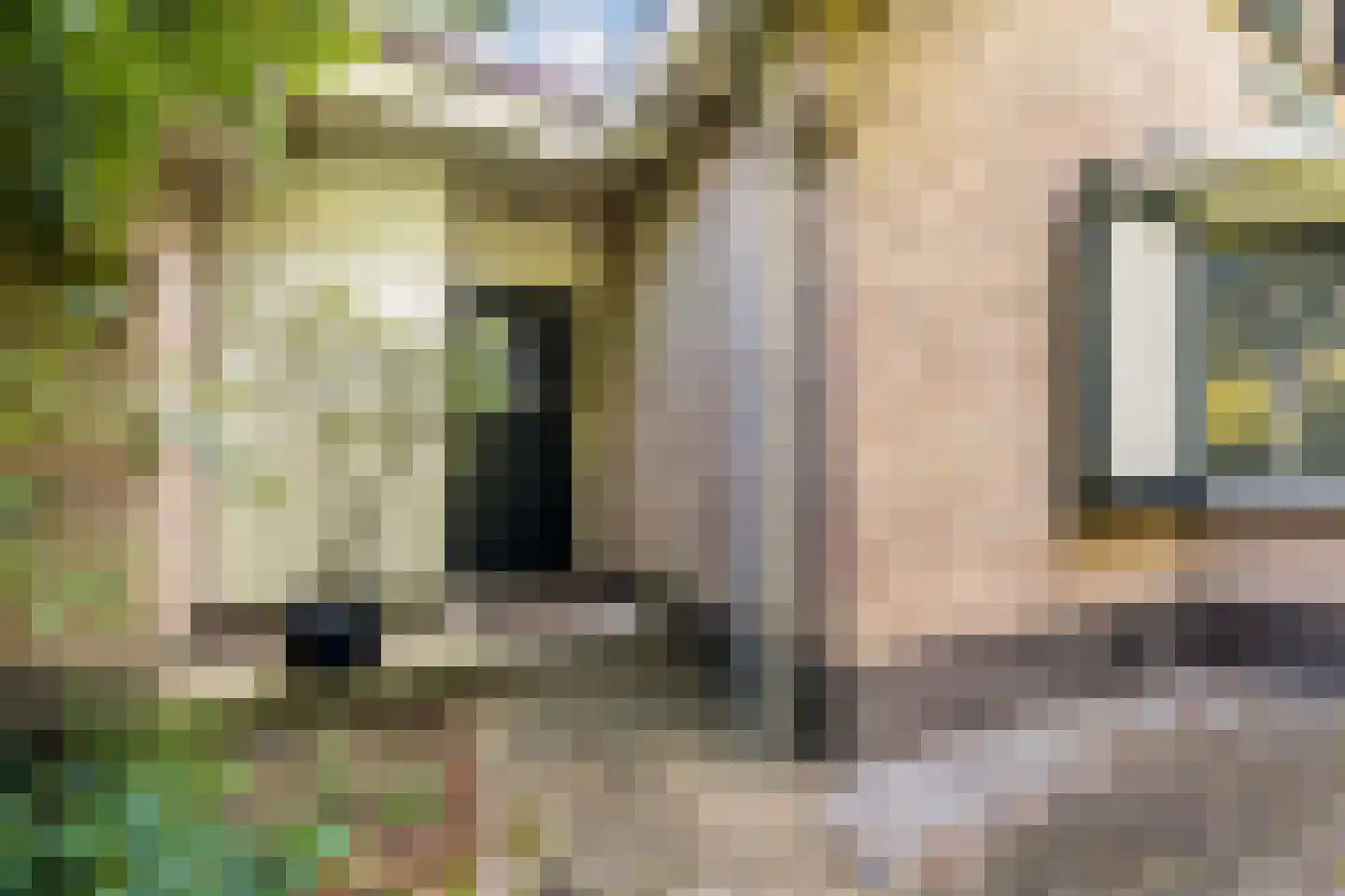 Sparjeburd 23 Hemrik thumbnail 11