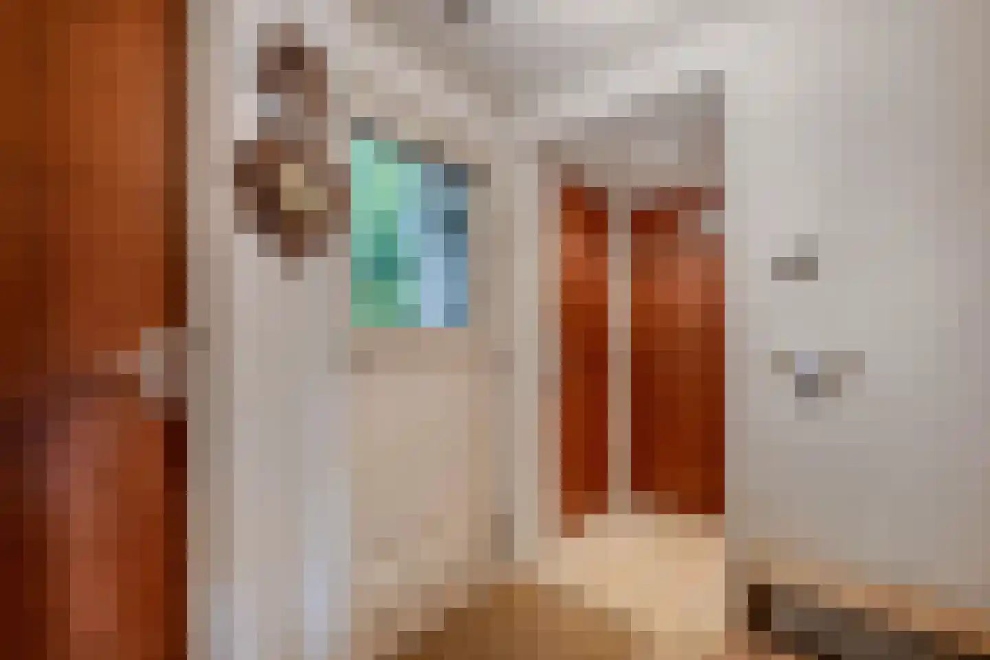 Sparjeburd 23 Hemrik thumbnail 15