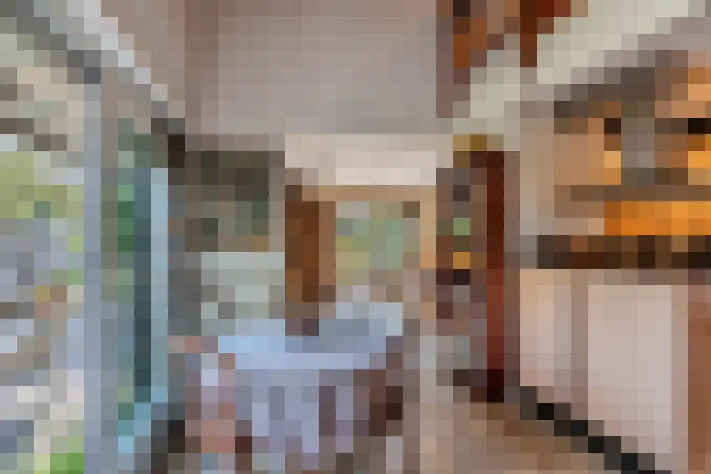 Sparjeburd 23 Hemrik thumbnail 22