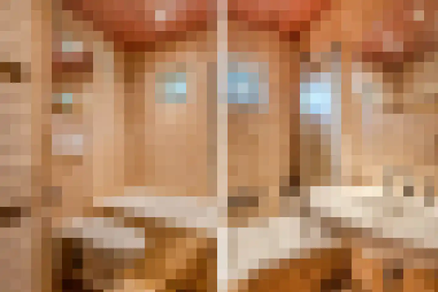 Sparjeburd 23 Hemrik thumbnail 31
