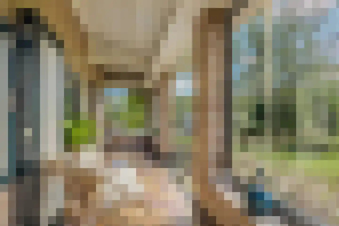 Sparjeburd 23 Hemrik thumbnail 47