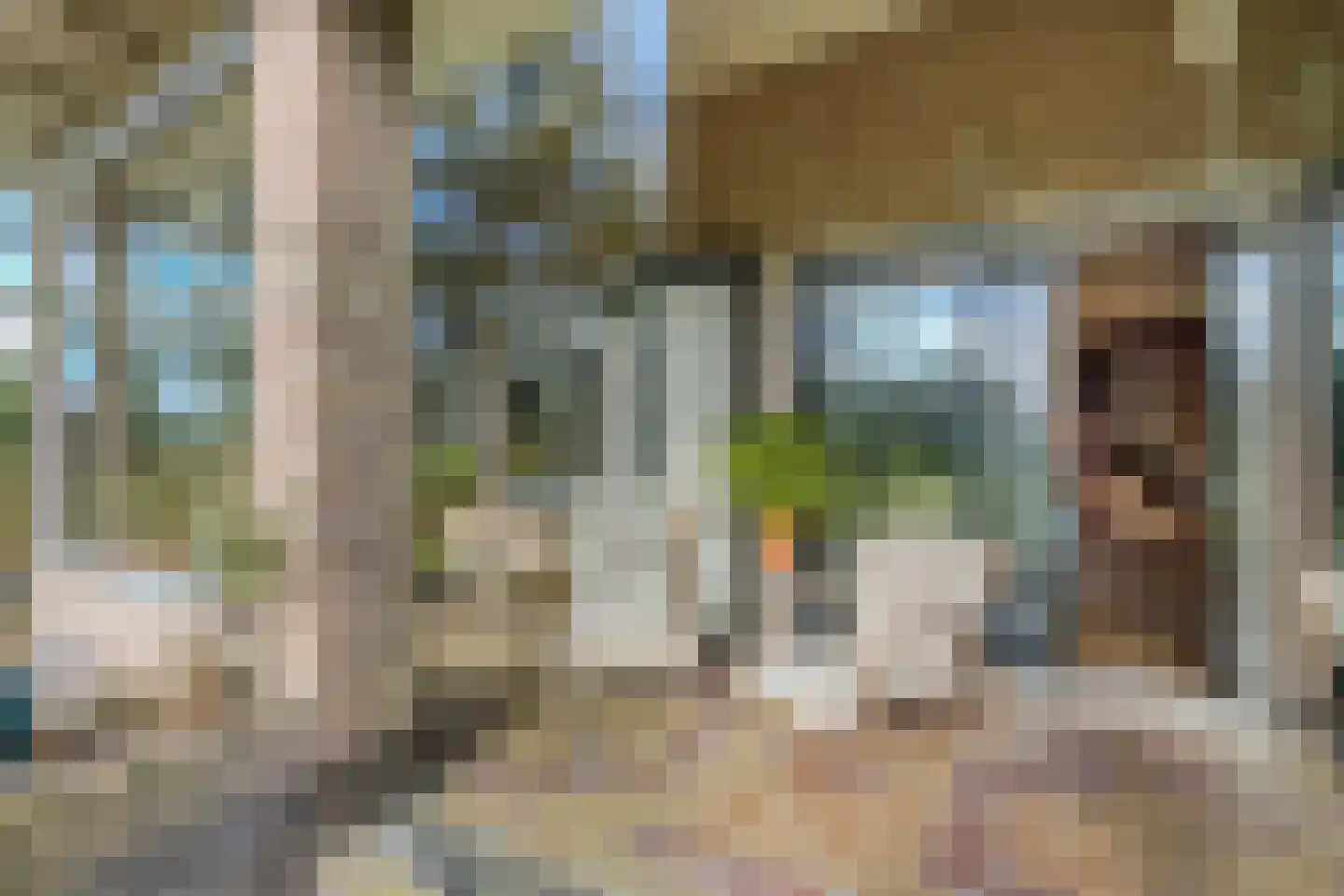 Sparjeburd 23 Hemrik thumbnail 49