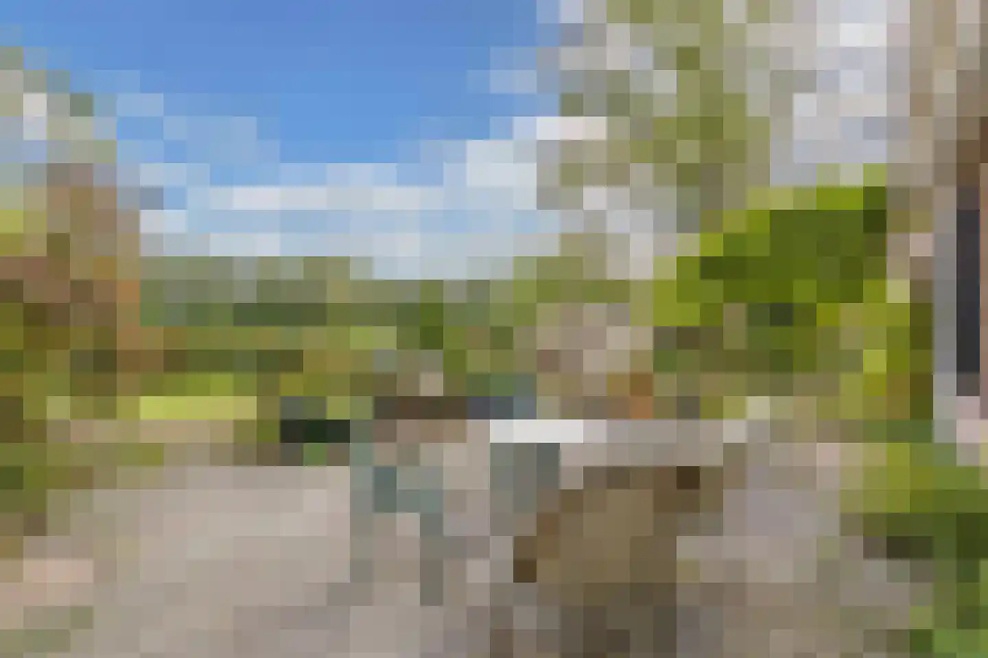 Sparjeburd 23 Hemrik thumbnail 50