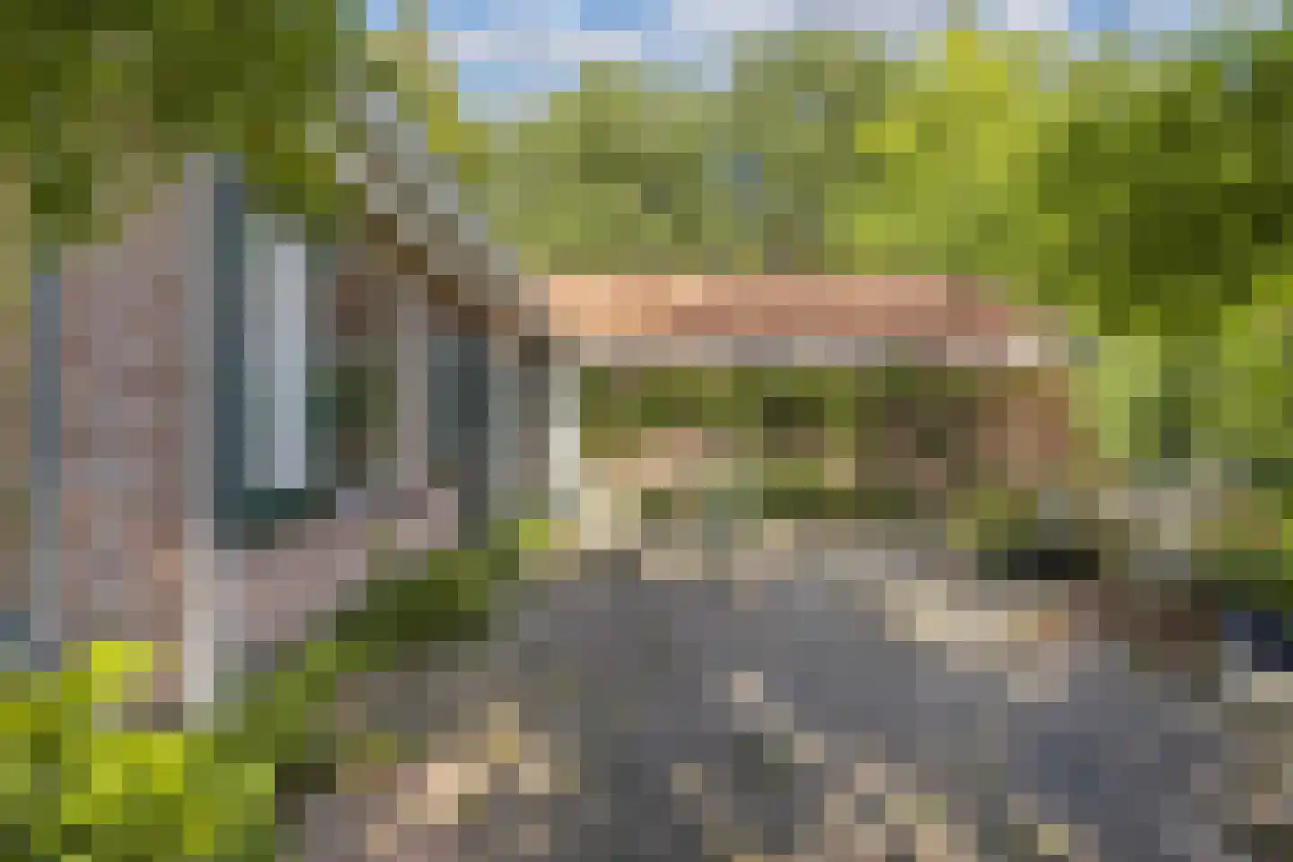 Sparjeburd 23 Hemrik thumbnail 53