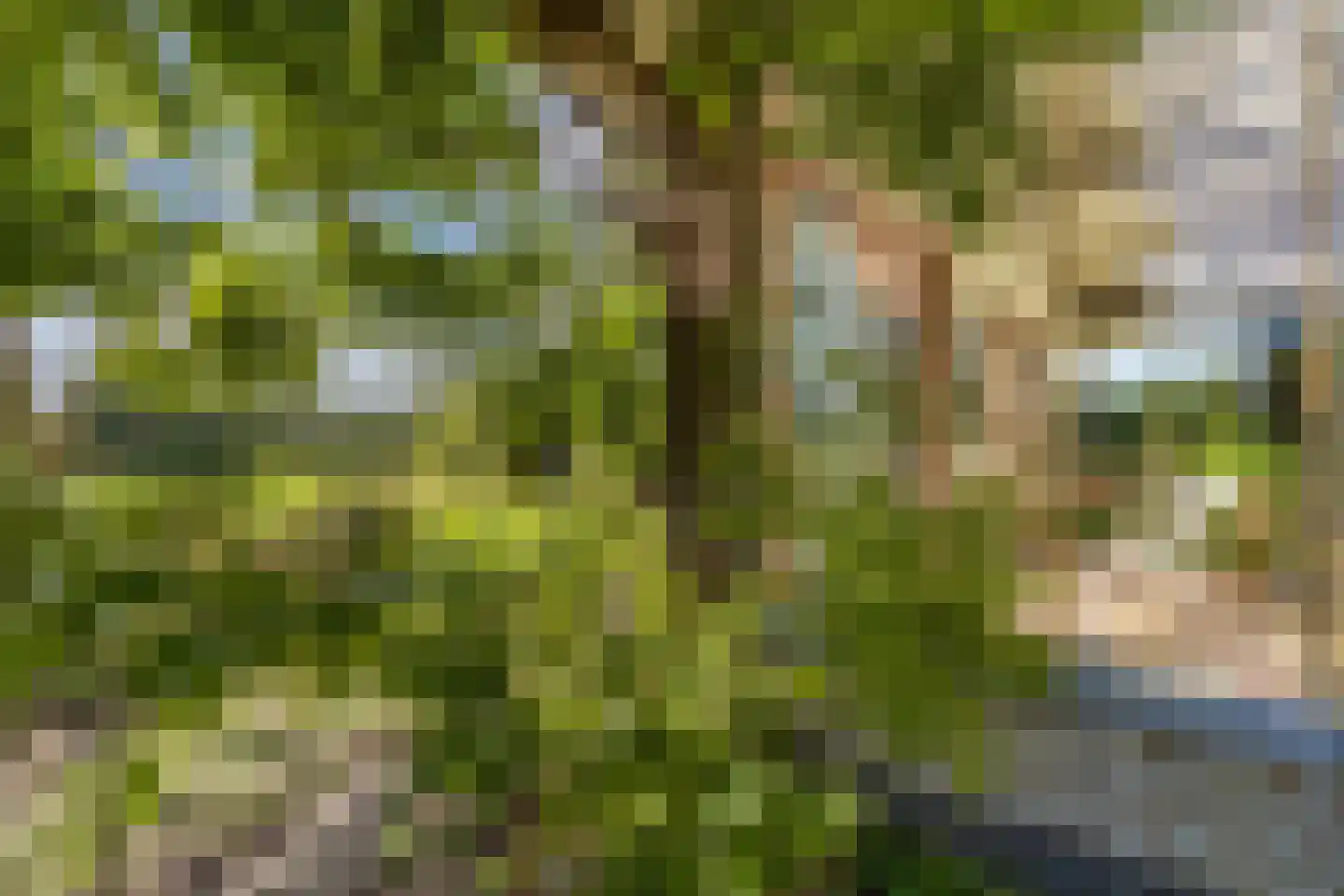 Sparjeburd 23 Hemrik thumbnail 54