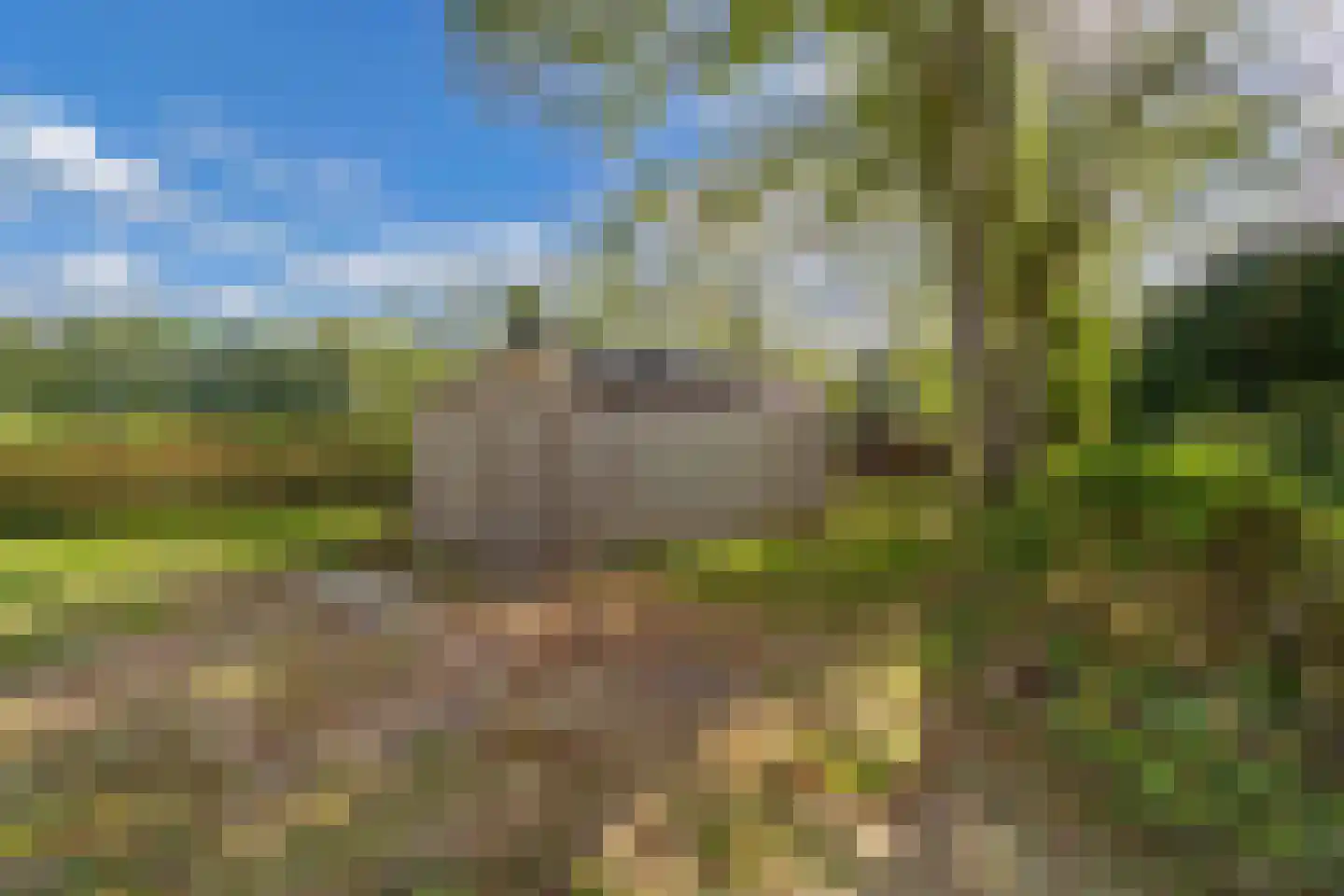 Sparjeburd 23 Hemrik thumbnail 55
