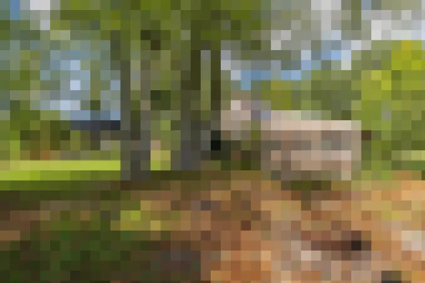Sparjeburd 23 Hemrik thumbnail 56