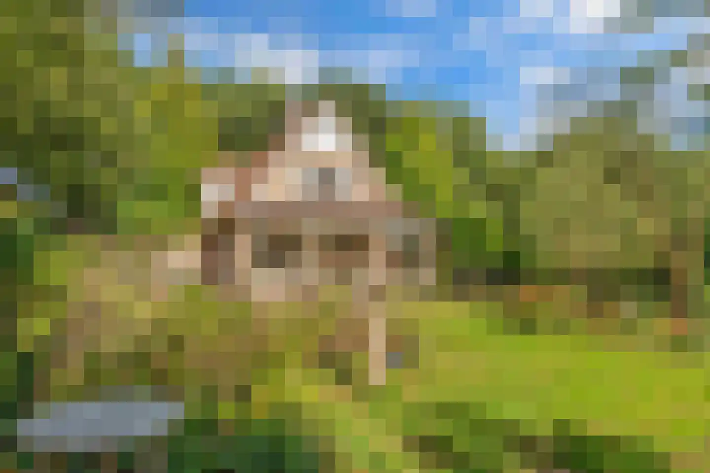Sparjeburd 23 Hemrik thumbnail 57