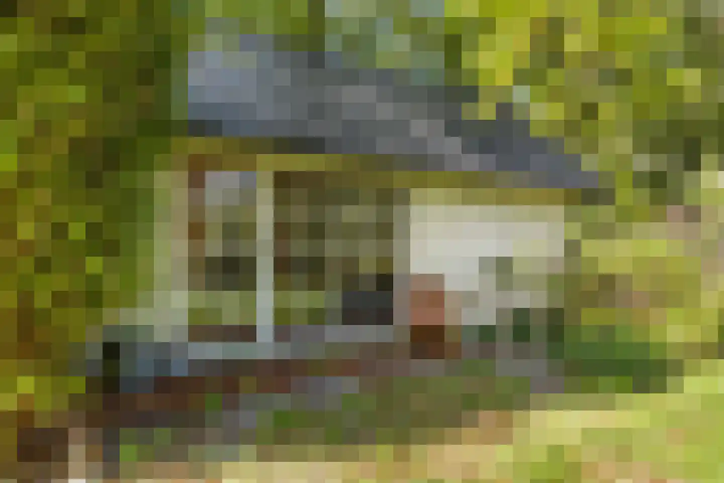 Sparjeburd 23 Hemrik thumbnail 58