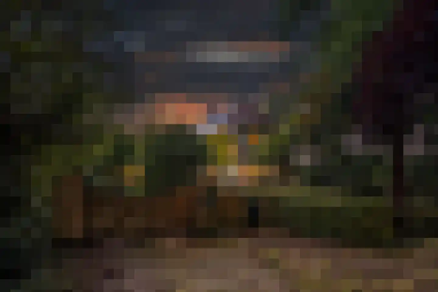 Sparjeburd 23 Hemrik thumbnail 6
