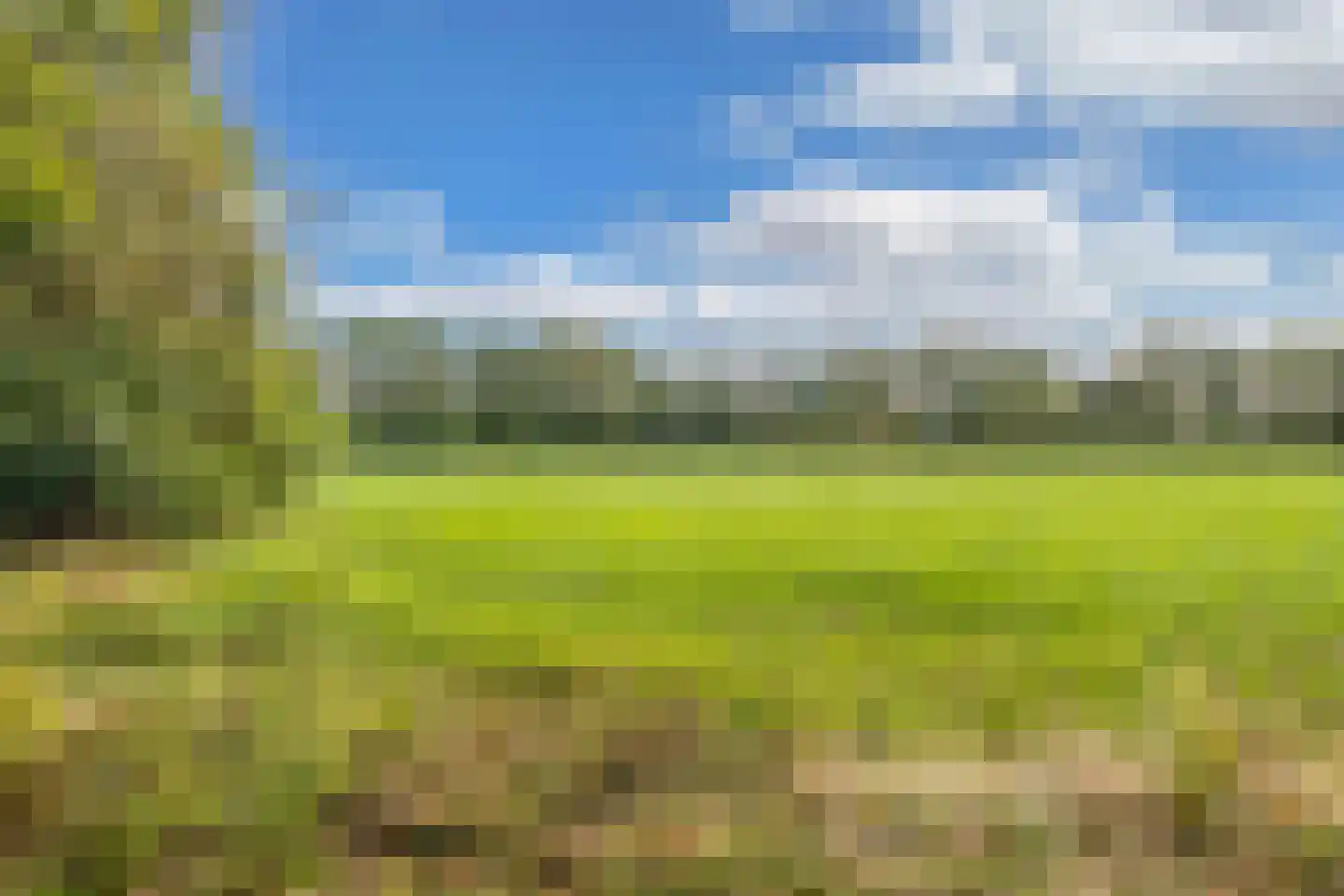 Sparjeburd 23 Hemrik thumbnail 64