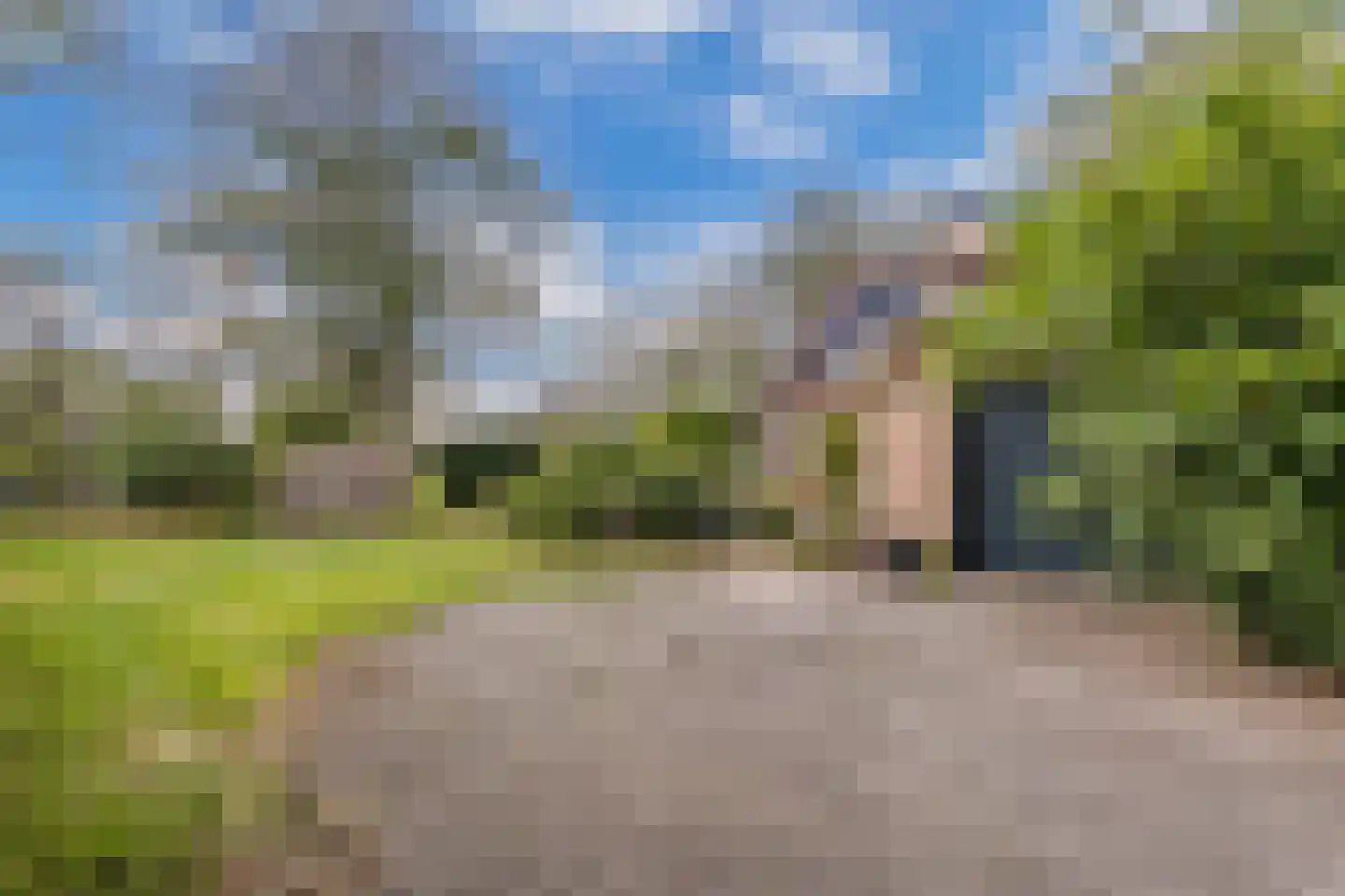 Sparjeburd 23 Hemrik thumbnail 65