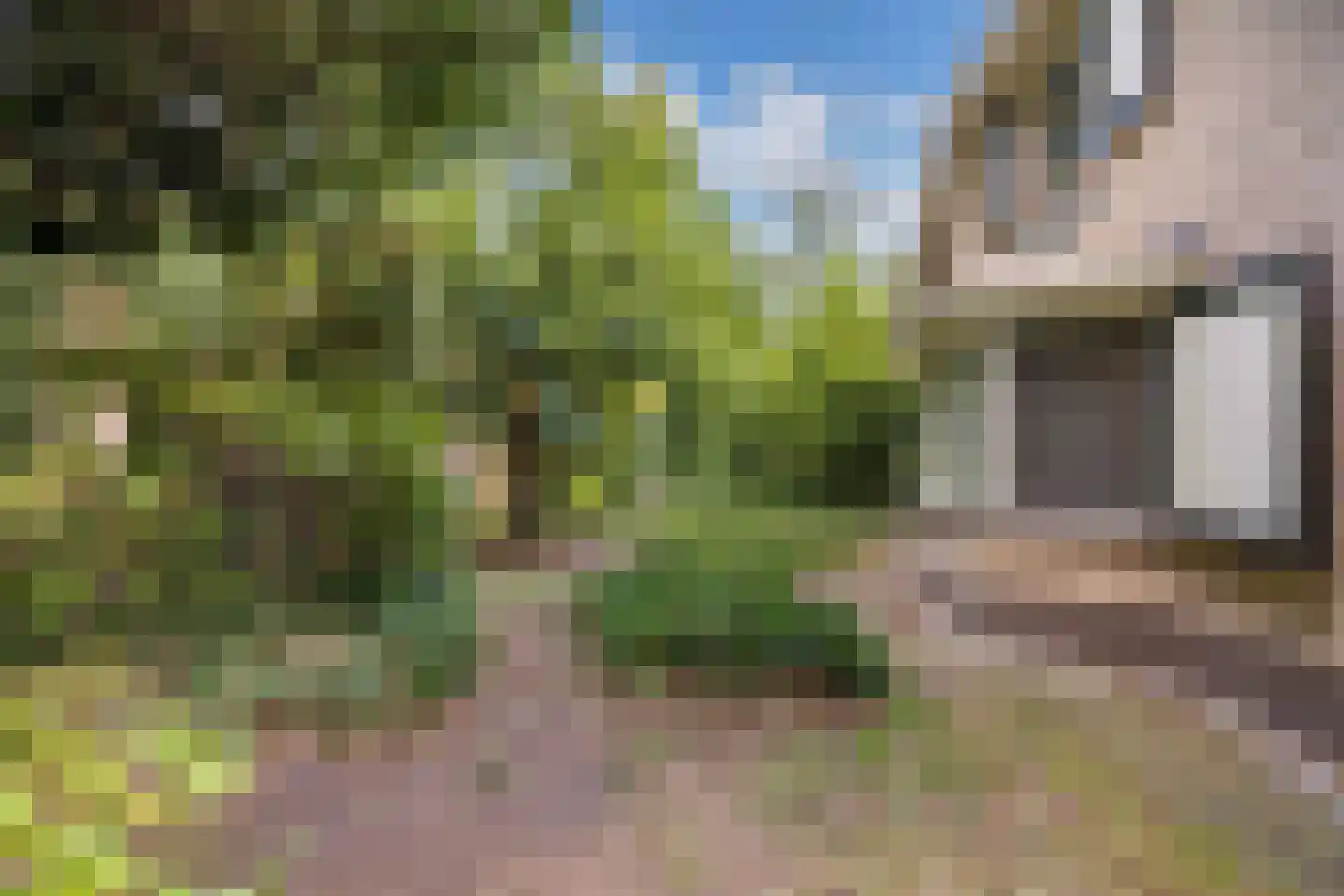 Sparjeburd 23 Hemrik thumbnail 69