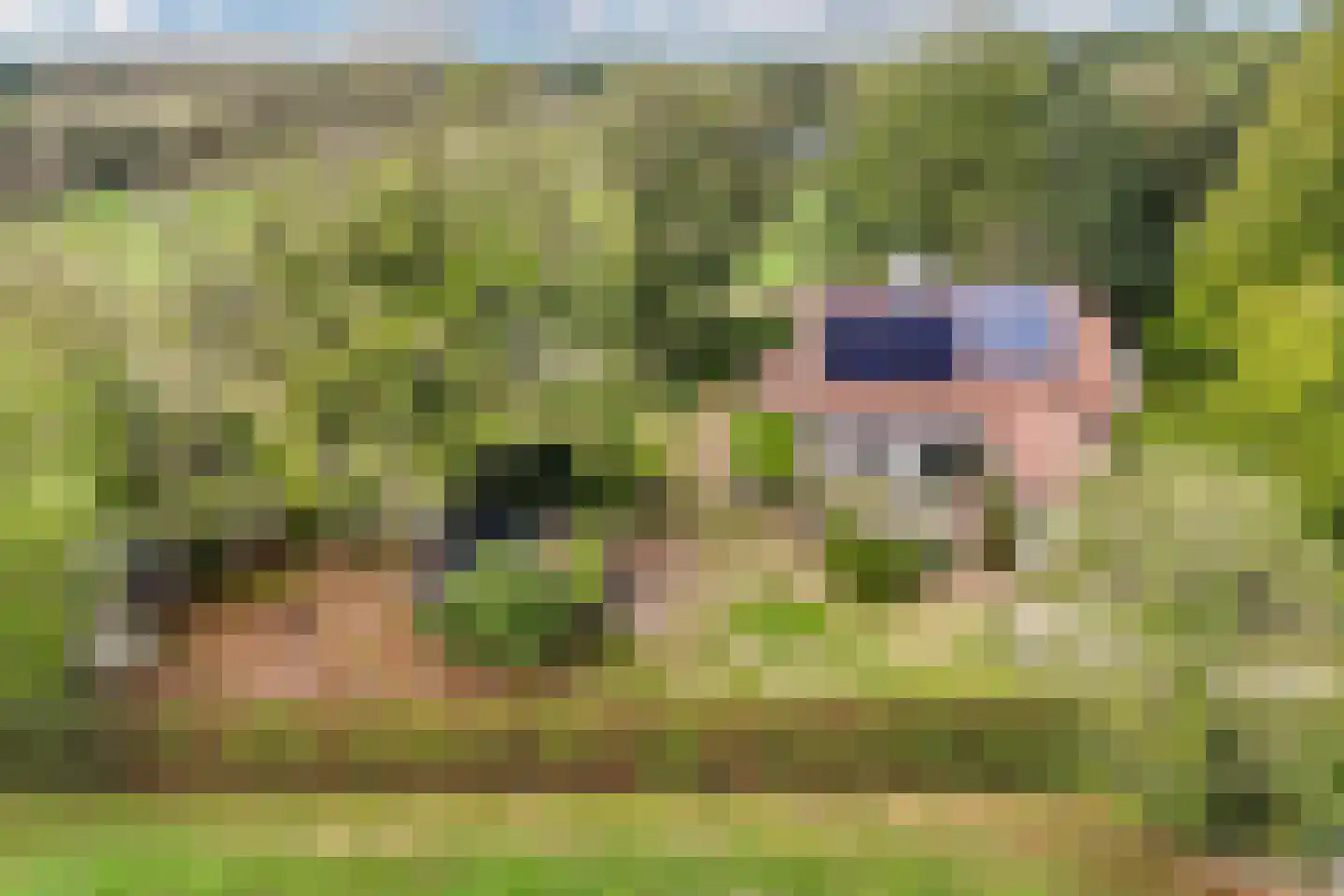 Sparjeburd 23 Hemrik thumbnail 70