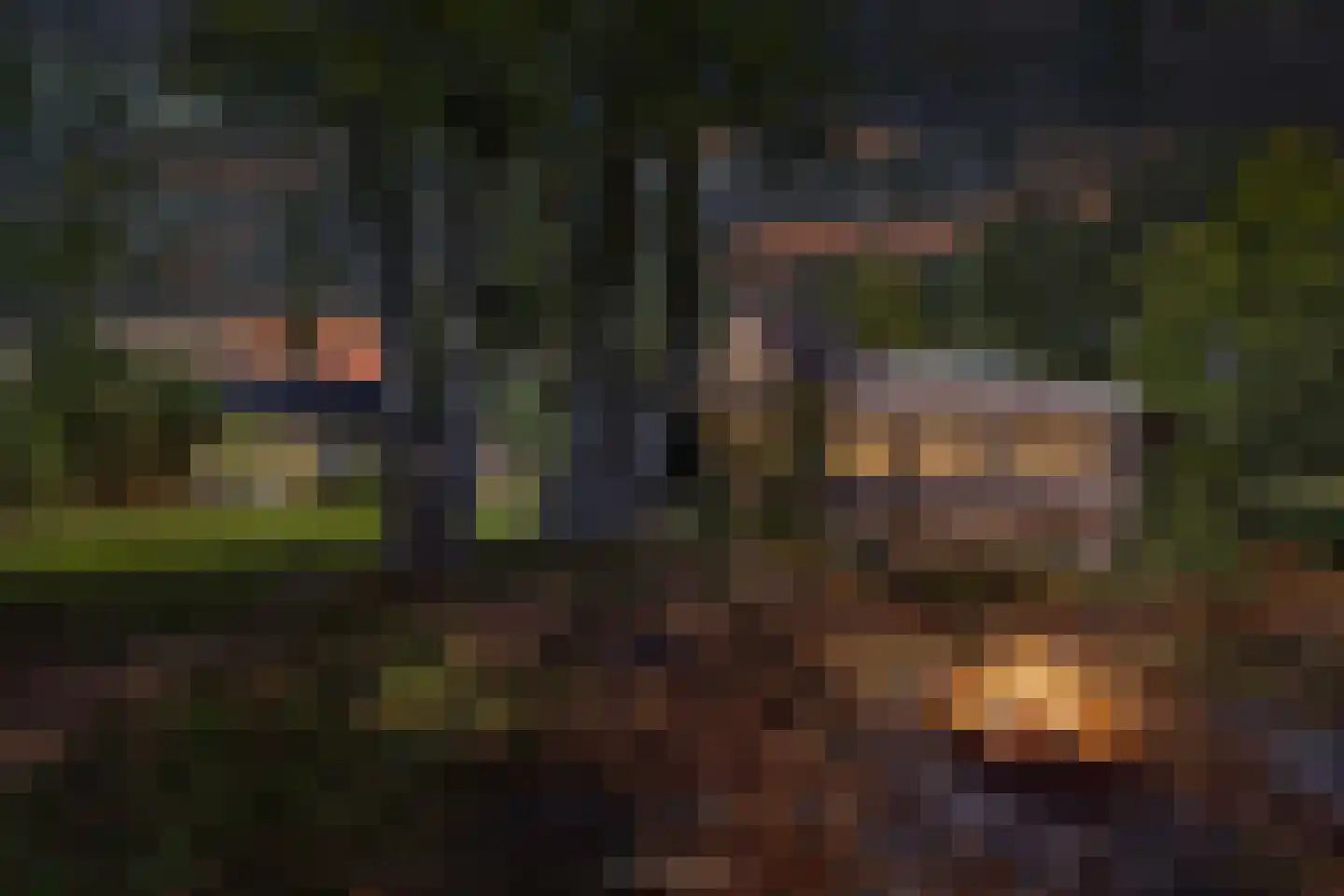 Sparjeburd 23 Hemrik thumbnail 77