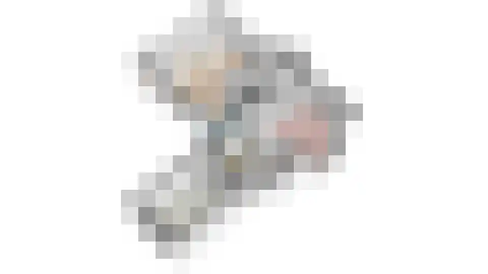 Sparjeburd 23 Hemrik thumbnail 84