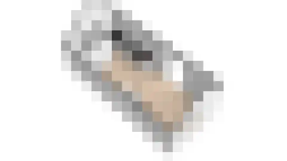 Sparjeburd 23 Hemrik thumbnail 86